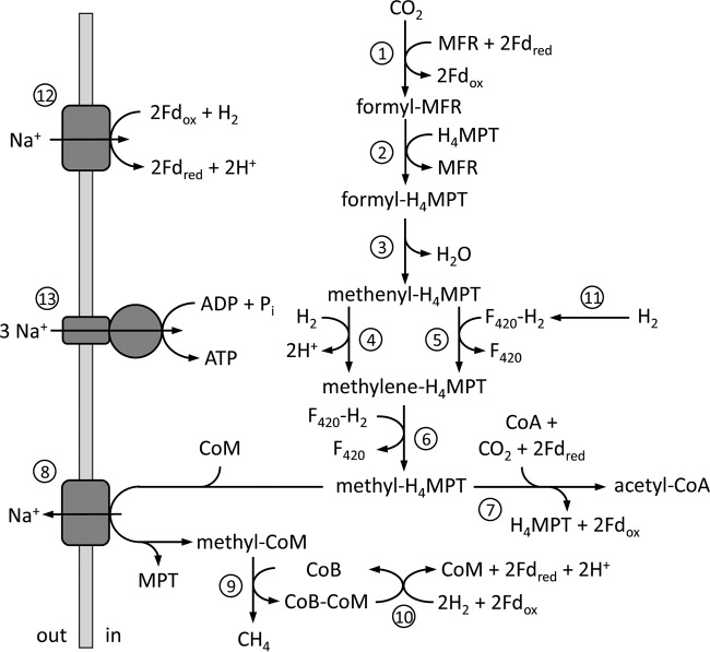 FIG 5