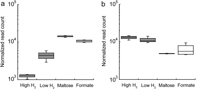 FIG 3