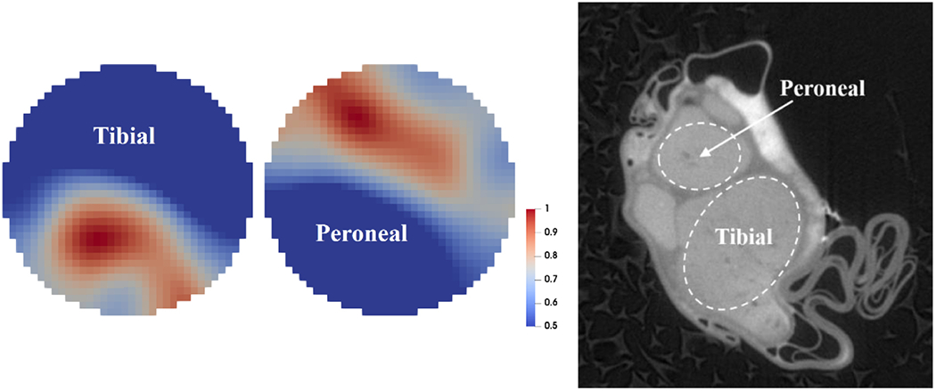 Figure 12.