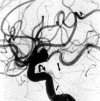 <sc>fig</sc> 1.