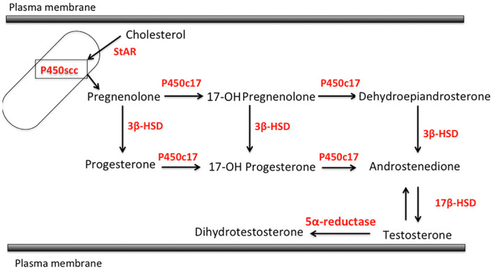 Figure 3