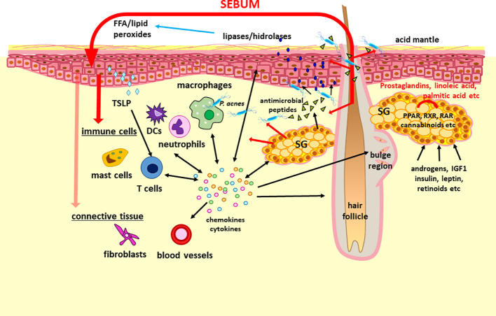 Figure 2