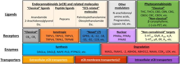 Figure 7