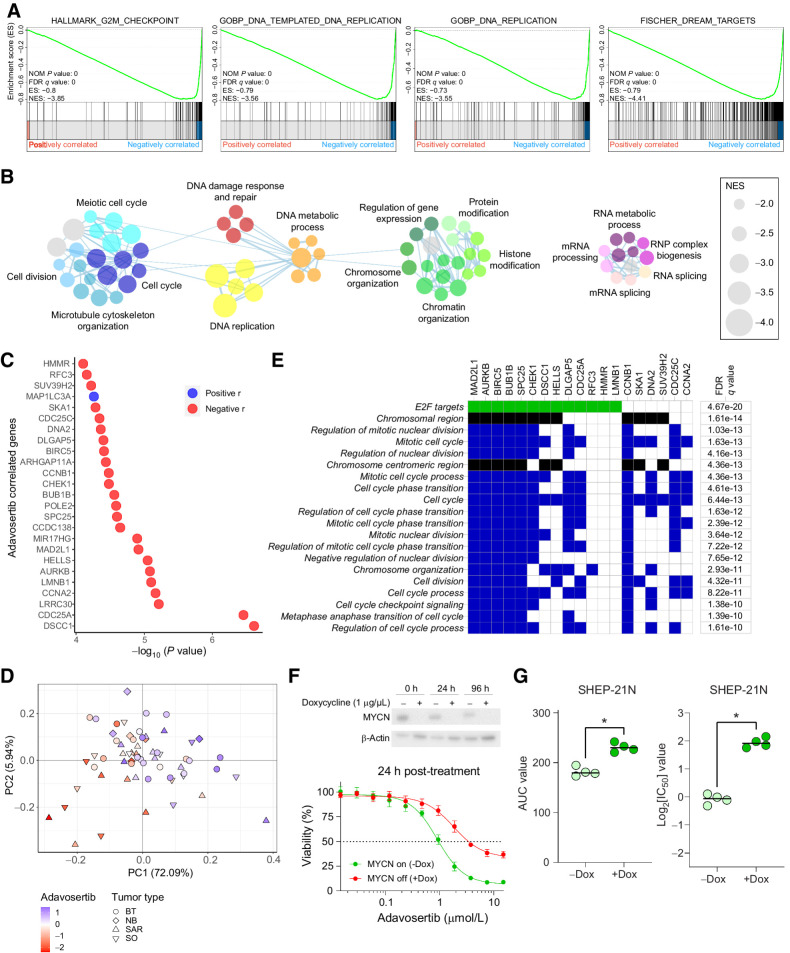 Figure 6. Integrative analysis identifies novel biomarkers predictive of adavosertib efficacy. A, GSEA enrichment plots for top enriched hallmark, GO biological processes (GO:BP), and curated gene sets for the positively correlating genes with adavosertib efficacy. Gene sets enriched among the genes for which log2[TPM] values negatively correlated with adavosertib AUC Z scores (high expression correlates with increased efficacy) with FDR q value < 0.01, list > 10%, and NES ≤ −2 were selected as most relevant. Genes with |r| ≥ 0.3 are highlighted in the barcode regions. B, Clustering of the MSigDB GO:BP gene sets enriched in the adavosertib-sensitive nonhematologic tumor samples with FDR q value < 0.01, list > 10%, and NES ≤ −2. Nodes are grouped and colored based on same or similar functional indication and their size indicates the NES. The two largest clusters are shown. C, Twenty-five top correlating genes with adavosertib efficacy based on Pearson correlation coefficient between adavosertib AUC Z scores and gene log2[TPM] values across the 63-sample tumor cohort. Negatively (high expression correlates with sensitivity) and positively (high expression correlates with resistance) correlating genes with P < 0.01 are indicated in red and blue, respectively. D, Principal component (PC) analysis of the adavosertib response based on AUC Z score with red being relatively sensitive and blue relatively resistant. Shapes of the symbols indicate tumor type. E, Twenty top GO, hallmark, and KEGG gene sets identified from the 25-gene set shown in C correlating with adavosertib efficacy (FDR q value < 0.01). Blue, GO biological process; black, GO cellular component; green, hallmark. F, Adavosertib dose–response curves for SHEP-21N neuroblastoma cells with MYCN on [green; −doxycycline (Dox)] versus MYCN off (red; +Dox). Effects on cell viability were established after 24-hour treatment in four independent experiments with three technical replicates in each experiment. Dots indicate the average cell viabilities ± SD and lines represent the fitted dose-response curves using nonlinear regression. Western blot on top shows MYCN repression upon doxycycline treatment after 0, 24, and 96 hours. G, Adavosertib AUC (left) and log2[IC50] (right) values in SHEP-21N neuroblastoma cells with MYCN off (−Dox) versus MYCN on (+Dox) after 24-hour treatment. Horizontal lines indicate median values. Tumor type key: brain tumors (BT), neuroblastoma (NB), sarcoma tumors (SAR), solid other (SO). *, P < 0.05.