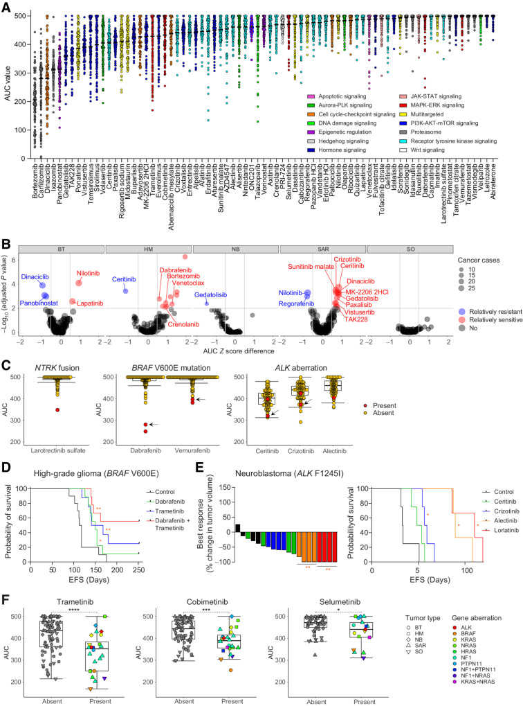 Figure 4. In vitro HTS on patient-derived tumor samples confirms known associations between drug sensitivity and driver aberrations. A, AUC distribution across all samples for targeted drugs. Drugs are ordered from most (left) to least (right) effective based on lowest median AUC, followed by lowest quartile AUC values. Colors indicate the mechanism of action of each drug. B, Volcano plots of tumor type-specific sensitivity or resistance to drugs based on the AUC Z scores for each drug, using the following formula: [average AUC Z score for tumor type of interest] − [average AUC Z score for the remaining cohort]. A difference in average AUC Z score ≤ 0.5 and adjusted P < 0.01 is considered relatively resistant (blue) and a difference in average AUC Z score > 0.5 and adjusted P < 0.01 is considered relatively sensitive (red). Only significant targeted drugs are named in the figure. Circle size represents the number of samples within the given tumor type on which the indicated drug has been tested. C, AUC values for TRK inhibitor larotrectinib sulfate, BRAF inhibitors dabrafenib and vemurafenib, and ALK inhibitors ceritinib, crizotinib, and alectinib with samples harboring an NTRK fusion, BRAF V600E mutation, or ALK aberration (i.e., ALK F1245I mutation or EML4-ALK fusion) highlighted in red, respectively. Arrows indicate the BRAF V600E–mutated HGG and ALK F1245I–mutated NB sample used for in vivo efficacy testing in D and E, respectively. D, In vivo effects of vehicle control (saline; black), dabrafenib monotherapy (green), trametinib monotherapy (blue), and dabrafenib plus trametinib combination therapy (red) on EFS in the matching HGG PDX model of the BRAF V600E–mutated sample with in vitro sensitivity to BRAF inhibition. E, In vivo effects of vehicle control (black) and ALK inhibitors ceritinib (green), crizotinib (blue), alectinib (orange), and lorlatinib (red) in the matching NB PDX model of the ALK F1245I–mutated NB sample with in vitro sensitivity to ALK-targeting inhibitors. Left graph shows percentage change in tumor model for each PDX and right graph EFS. F, AUC values for MEK inhibitors trametinib (left), cobimetinib (middle), and selumetinib (right) in samples with (colored) and without (gray) driver aberrations in RAS–MAPK signaling. Shapes of the symbols indicate tumor type. Tumor type key: brain tumors (BT), hematologic malignancies (HM), neuroblastoma (NB), sarcoma tumors (SAR), solid other (SO). *, P < 0.05; **, P < 0.01; ***, P < 0.001; ****, P < 0.0001. *, versus vehicle control.