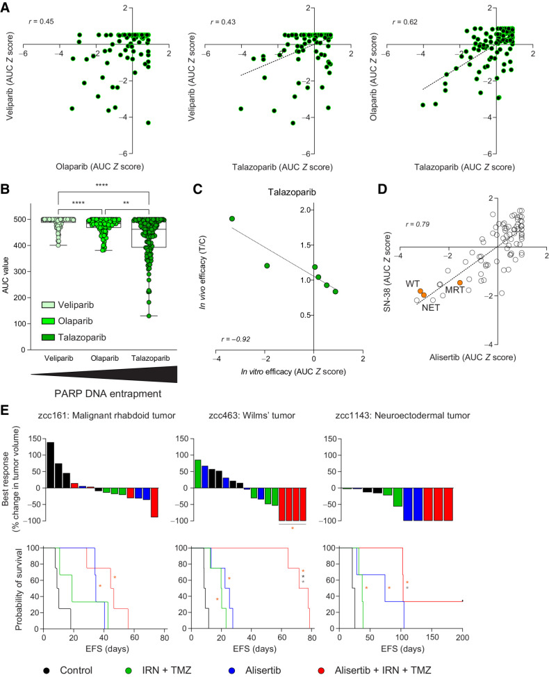 Figure 3. In vitro PARP inhibitor responses correlate with in vivo responses and correlated drug response profiles identify effective combinations for individual samples. A, AUC Z score correlations across the cohort between PARP inhibitors: olaparib versus veliparib (left), talazoparib versus veliparib (middle), and talazoparib versus olaparib (right). B, Comparison of veliparib, olaparib, and talazoparib AUC values shows increased efficacy with increasing PARP DNA entrapment potency. C, Correlation between in vitro talazoparib AUC Z scores and in vivo responses in matching PDX models as established by calculating T/C values for each model using the following formula: [medium EFS time after talazoparib treatment (=T)]/[medium EFS time when untreated (=C)]. D, Correlation between the AUC Z scores of AURKA inhibitor alisertib and irinotecan metabolite SN-38. Samples sensitive to both alisertib and SN-38 that are used for in vivo combination testing in D are depicted in orange. E, In vivo effects of vehicle control (black), irinotecan plus temozolomide (green), monotherapy alisertib (blue), and alisertib in combination with irinotecan plus temozolomide (red) in PDX models for MRT (left), Wilms tumor (middle), and neuroectodermal tumor (NET; right). Top graphs show percentage change in tumor model for each PDX and bottom graphs show EFS. MRT, malignant rhabdoid tumor; WT, Wilms tumor; NET, neuroectodermal tumor. *, P < 0.05; ***, P < 0.001; ****, P < 0.0001. *, versus vehicle control; *, versus alisertib; *, versus irinotecan (IRN) plus temozolomide (TMZ).