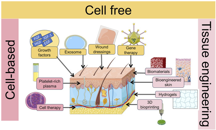 graphic file with name FBIOE_fbioe-2025-1527854_wc_abs.jpg