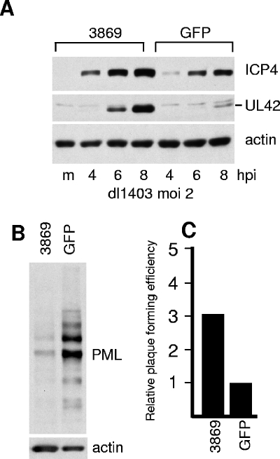 FIG. 8.