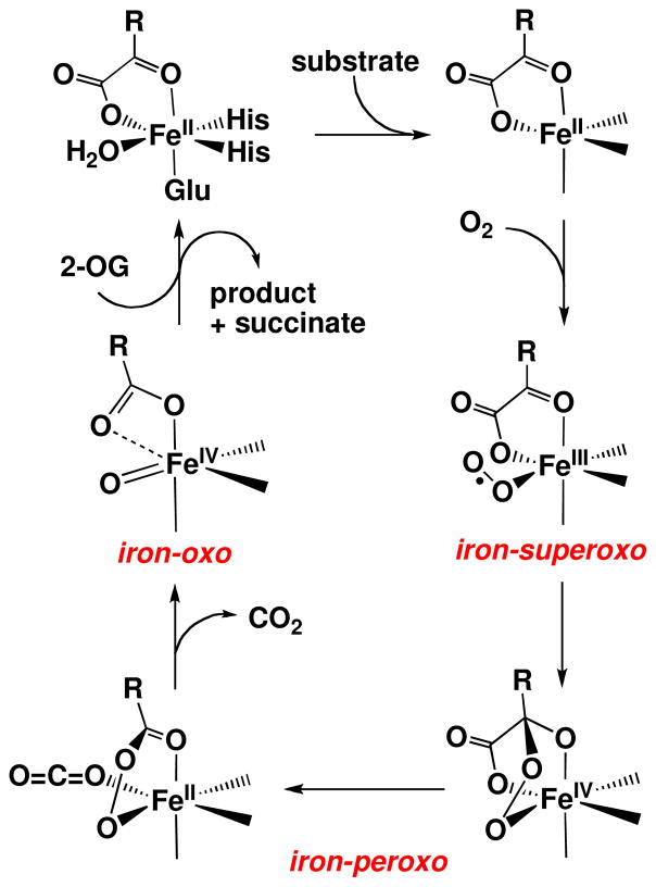 Scheme 1