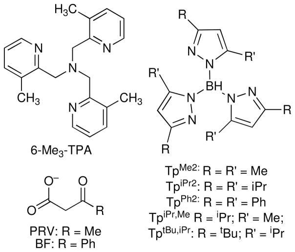 Scheme 3