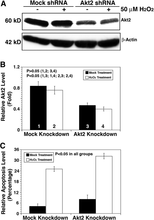 FIG. 10.