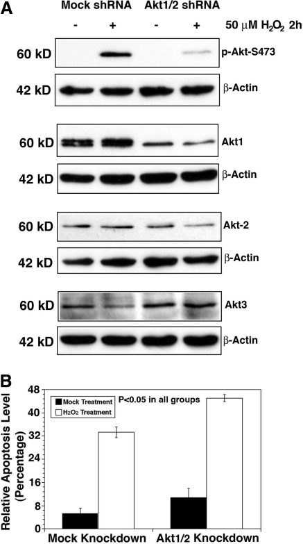 FIG. 12.