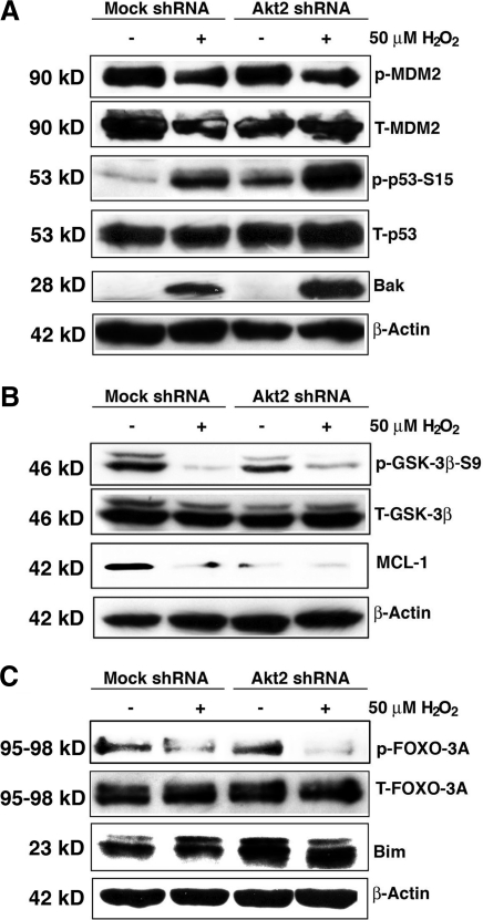 FIG. 11.