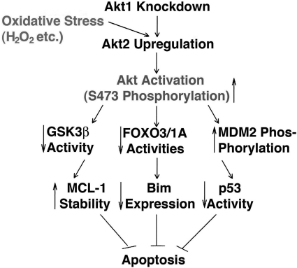 FIG. 14.