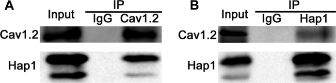 FIGURE 7.