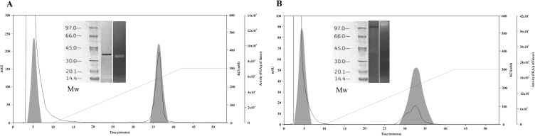 Figure 4