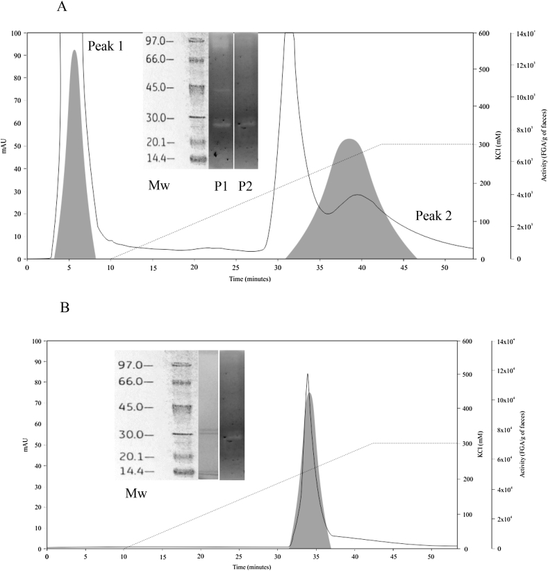 Figure 3