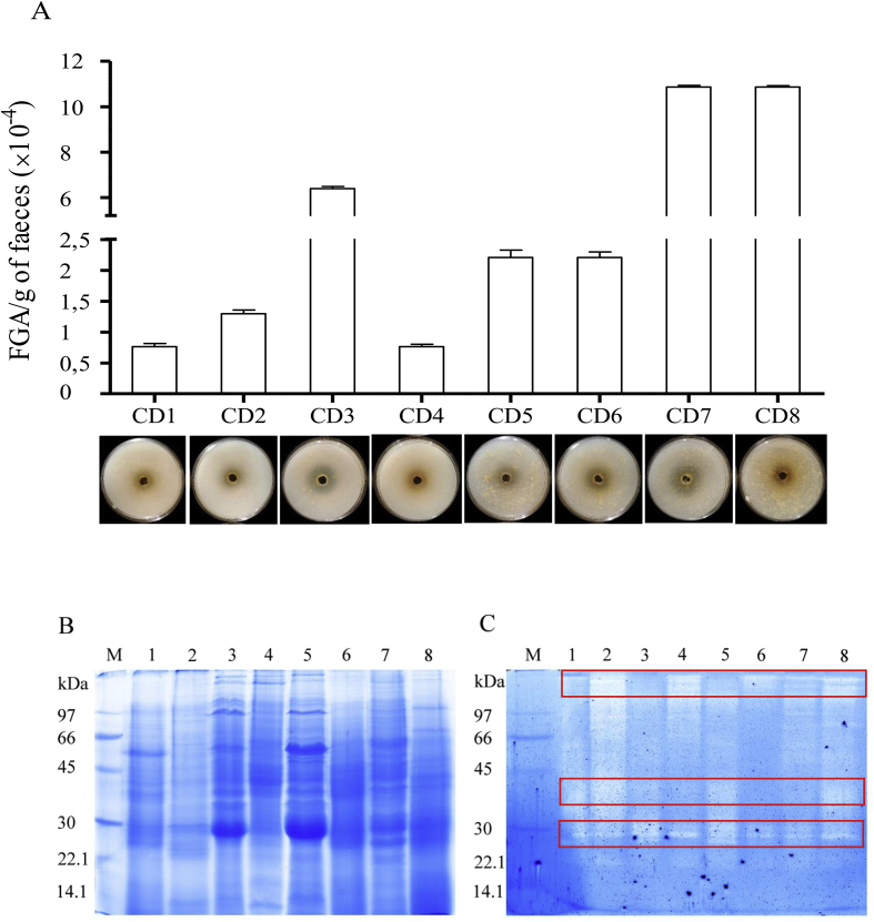 Figure 6