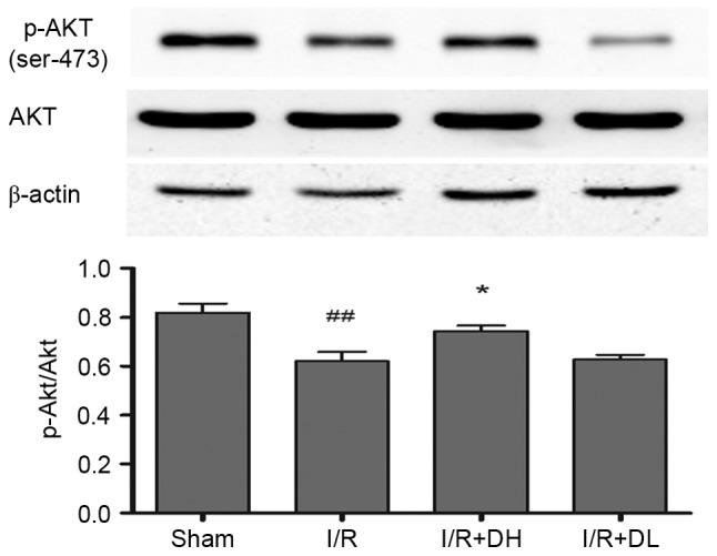 Figure 6.