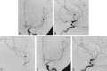 <sc>fig</sc> 1.