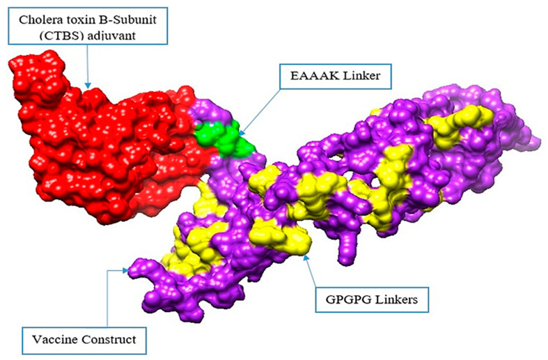 Figure 6