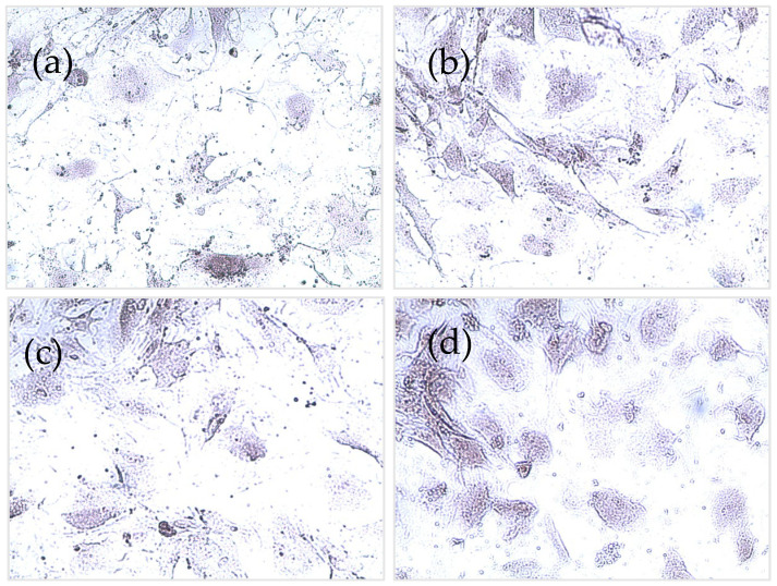 Figure 12