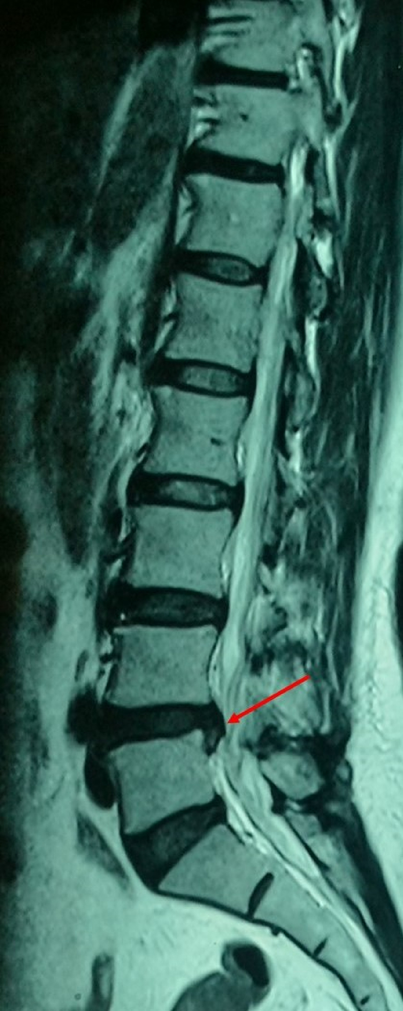 Fig. 4