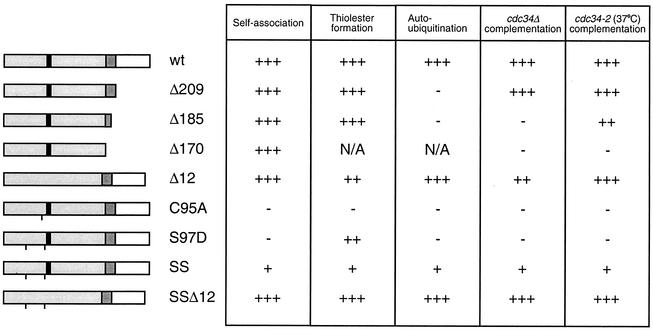 FIG. 8.