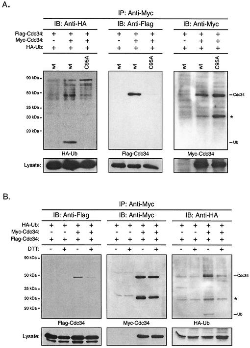 FIG. 7.