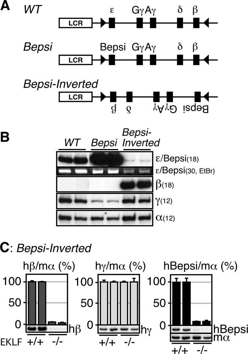 FIG. 6.