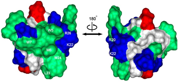 Figure 5