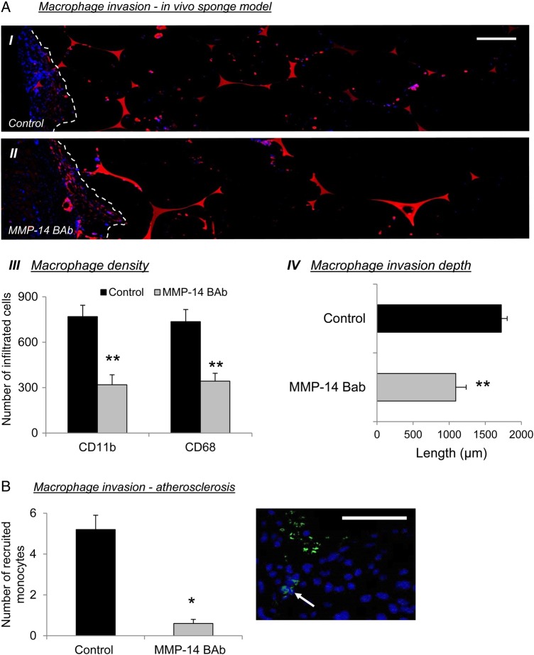 Figure 6