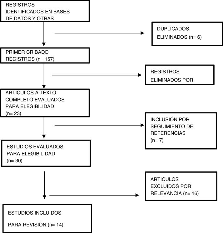 Figura 1