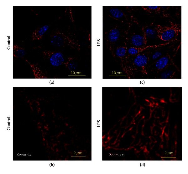 Figure 12