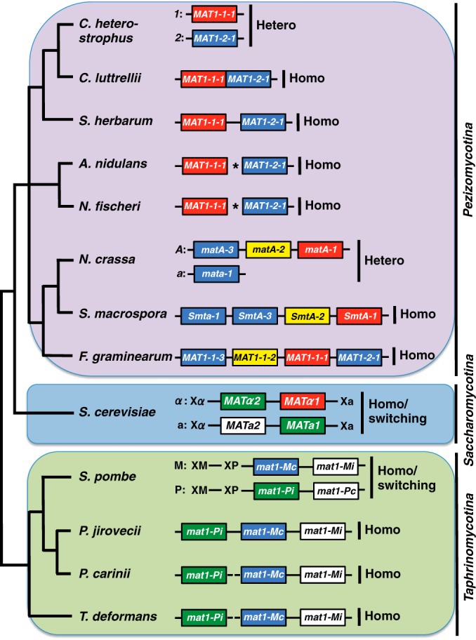 FIG 1 