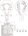 Extended Data Fig. 1 |