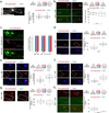 Extended Data Fig. 12 |