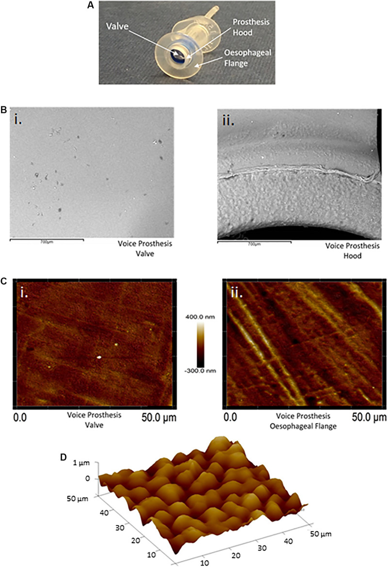 FIGURE 3