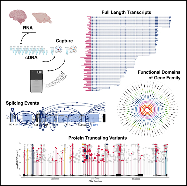 graphic file with name nihms-2011862-f0008.jpg