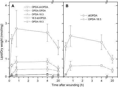 Figure 7.