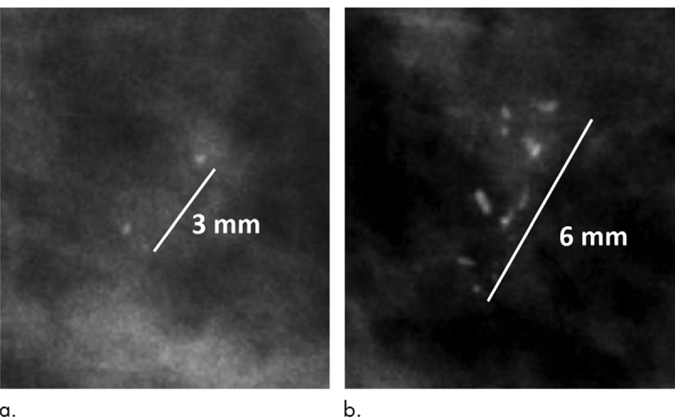 Figure 5: