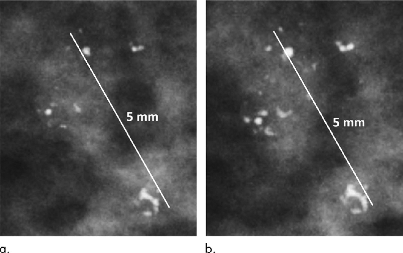 Figure 4: