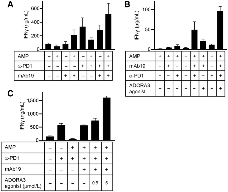 Figure 4. Combination therapy for mAb19 has the potential to improve T-cell activation. A, Allogeneic human T cells were cocultured with mature dendritic cells and treated with 1 μg/mL mAb19, 10 μg/mL MK-3475 (α-PD1), the combination thereof or the corresponding isotype control in the presence or absence of AMP. After 5 days supernatants were analyzed for IFNγ. Shown are mean values of five biological replicates of one representative donor pair. B, As in A, with treatment of the cells with 1 μg/mL mAb19, 10 μg/mL MK-3475 (α-PD1), 5 μmol/L ADORA3 receptor agonist CF102, combinations thereof or the corresponding controls in the presence of AMP. C, As in A, with treatment of the cells with 1 μg/mL mAb19, 10 μg/mL MK-3475 (α-PD1), 0.5 or 5 μmol/L ADORA3 receptor agonist CF102, combinations thereof or the corresponding isotype controls in the presence or absence of AMP.