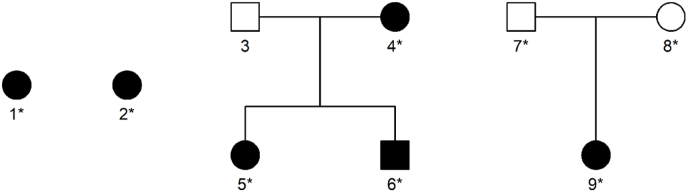 Fig. 1