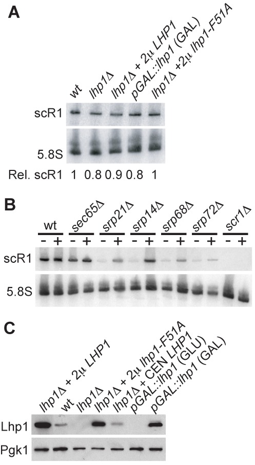 Figure 2.