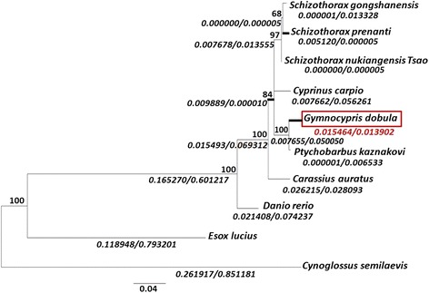 Fig. 3