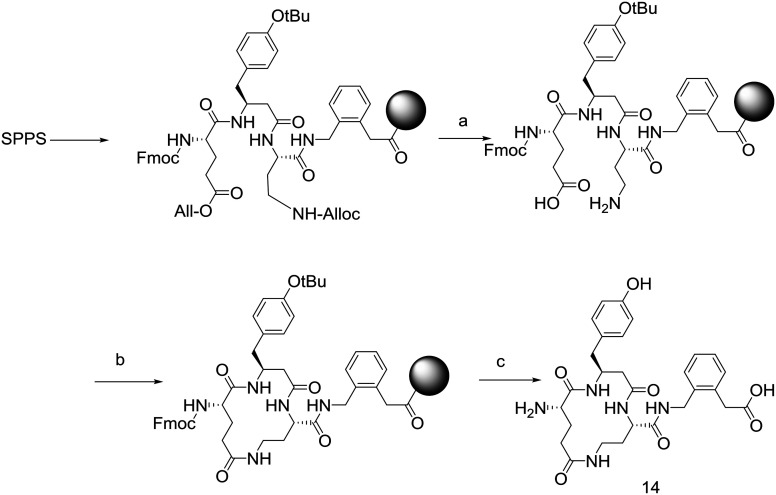 Scheme 1