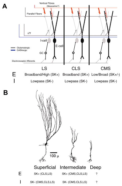 Fig. 10