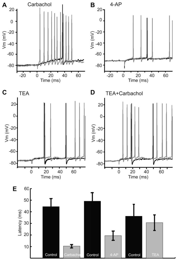 Fig. 8