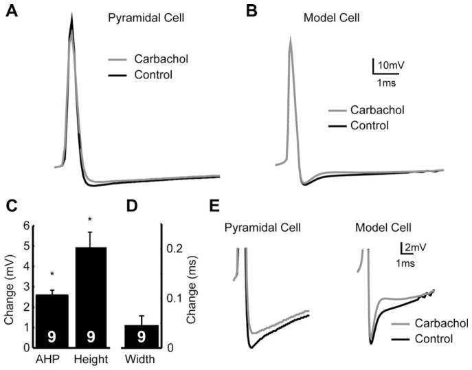 Fig. 9